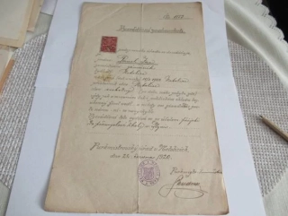 Netolice - Vysvědčení zachovalosti ku přijetí do průmyslové školy - 1920