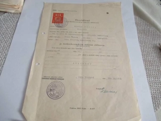 Horní Čermná, okres Moravská Třebová - Osvědčení o československém státním občanství - 1949