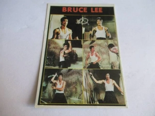 Bruce Lee - cca 10 x 7 cm