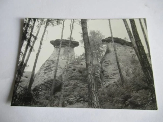 Pokličky - 1973 - cca 12,5 x 9 cm