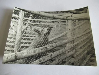 Boubín - 1969 - cca 12,5 x 9 cm
