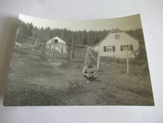 Šumava - 1969 - cca 12,5 x 9 cm