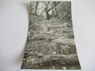 Rokle u Srbska - 1968 - cca 13,5 x 9 cm