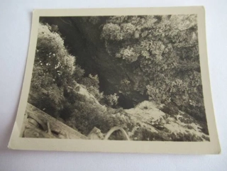 Macocha - cca 9 x 7 cm