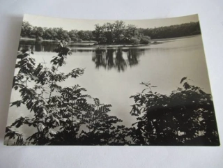Třeboň - rybník ,,Svět"