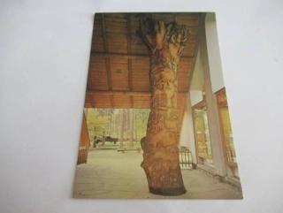 Valašské muzeum v přírodě