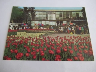 Olomouc - Flora