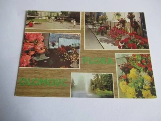 Olomouc - Flora