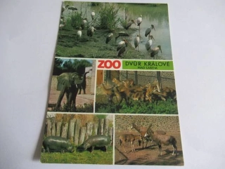 Dvůr Králové nad Labem - zoo