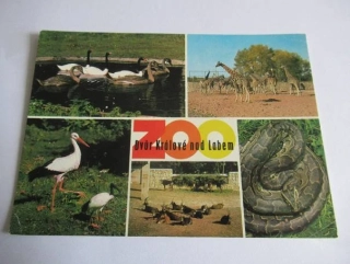 Dvůr Králové nad Labem - zoo