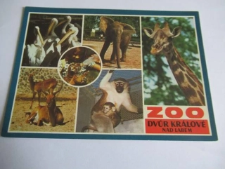 Dvůr Králové nad Labem - zoo