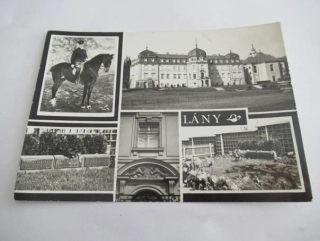 Lány