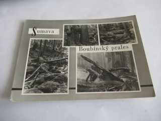 Šumava - Boubínský prales