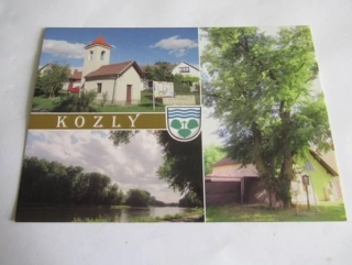 Kozly