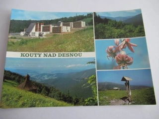 Kouty nad Desnou - Účelové zařízení ČEZ