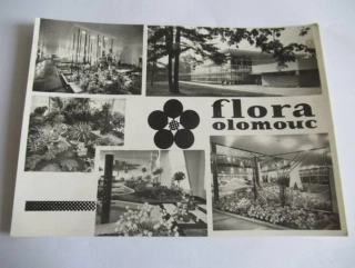 Olomouc - Flora