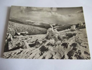 Krkonoše - U Labské boudy