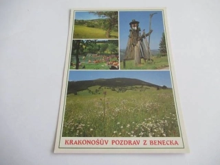 Benecko - Sychrov, Koupaliště ve Štěpanické Lhotě, pohled na Žalý z luk Mrklovem