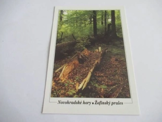 Novohradské hory - Žofínský prales