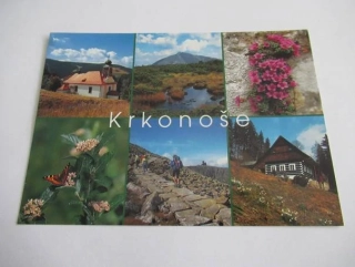 Krkonoše - Špindlerův Mlýn, Sněžka, Lomikámen vstřícnolistý, Jeřáb sudetský, Hřebenová cesta pod Vysokým kolem, chalupa z Křízlic