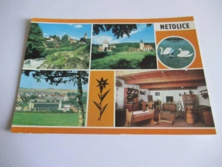 Netolice